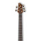 قیمت خرید فروش سیم گیتار باس 5 سیم Ibanez BTB1805 NTL